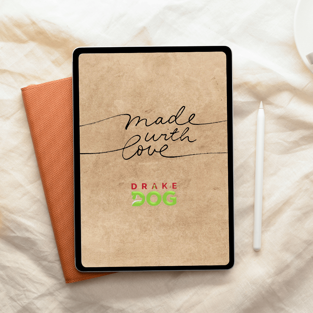 Bucket List for Your Dog - Drake Dog Cancer Foundation