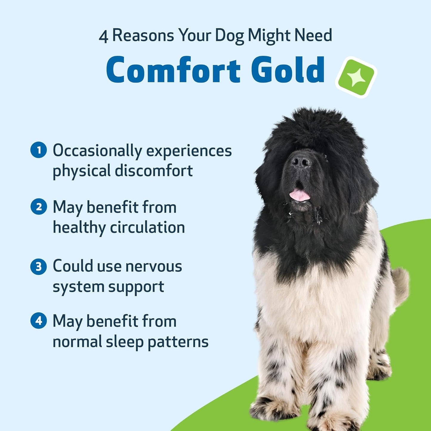 Comfort Gold for Pain Relief