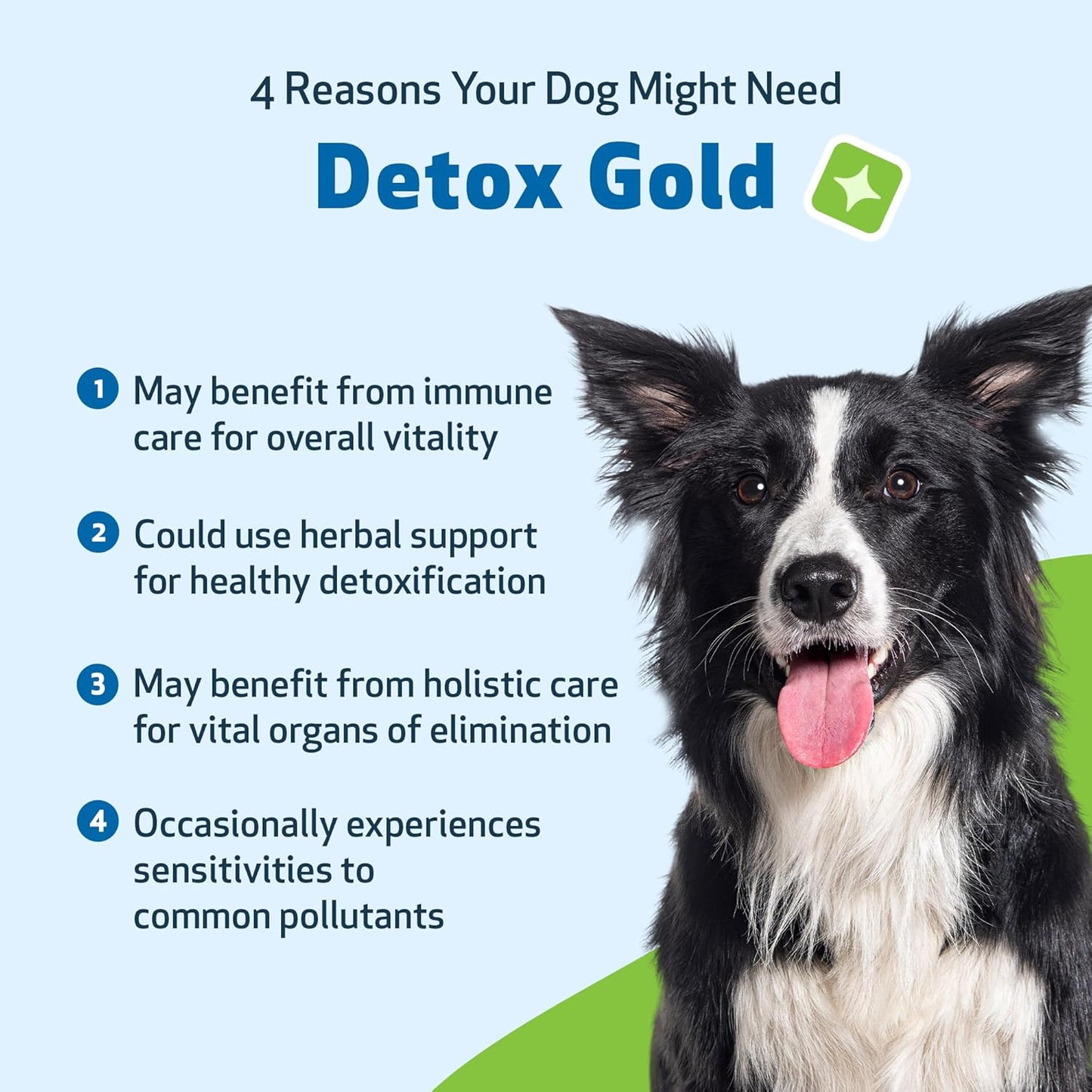 Detox Gold for Healthy Detox & Elimination