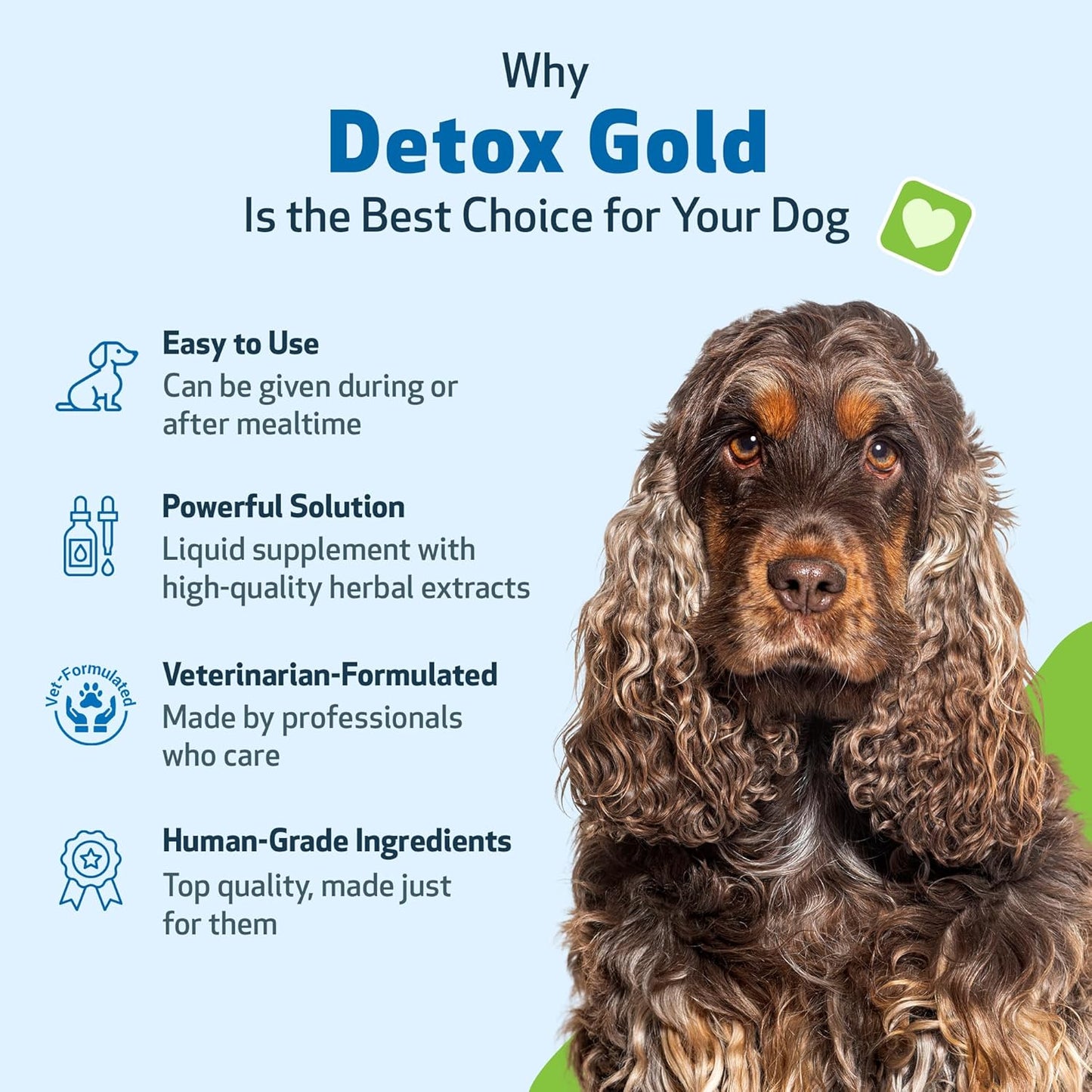 Detox Gold for Healthy Detox & Elimination