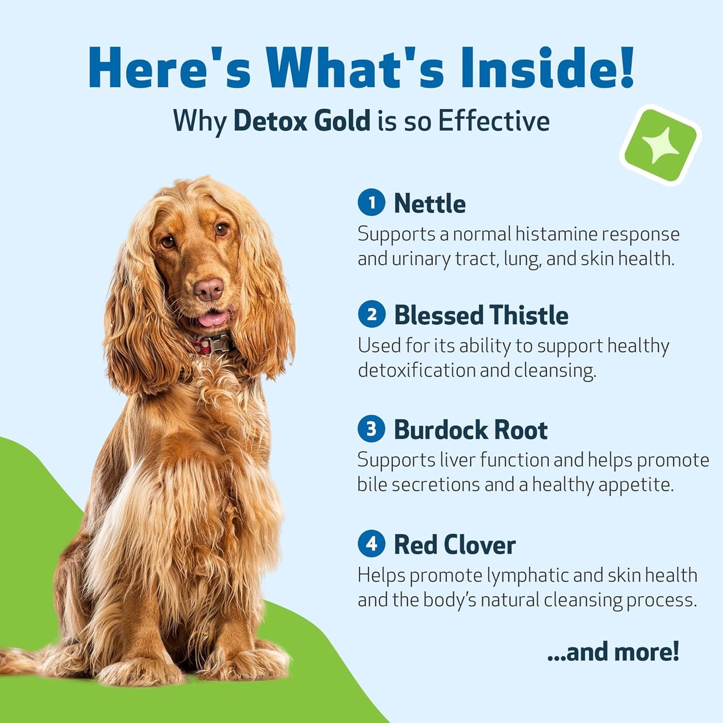 Detox Gold for Healthy Detox & Elimination