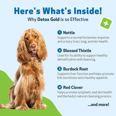 Detox Gold for Healthy Detox & Elimination - Drake Dog Cancer Foundation