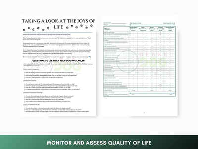 Dog Quality of Life Assessment | Printable Pet Health Tracker