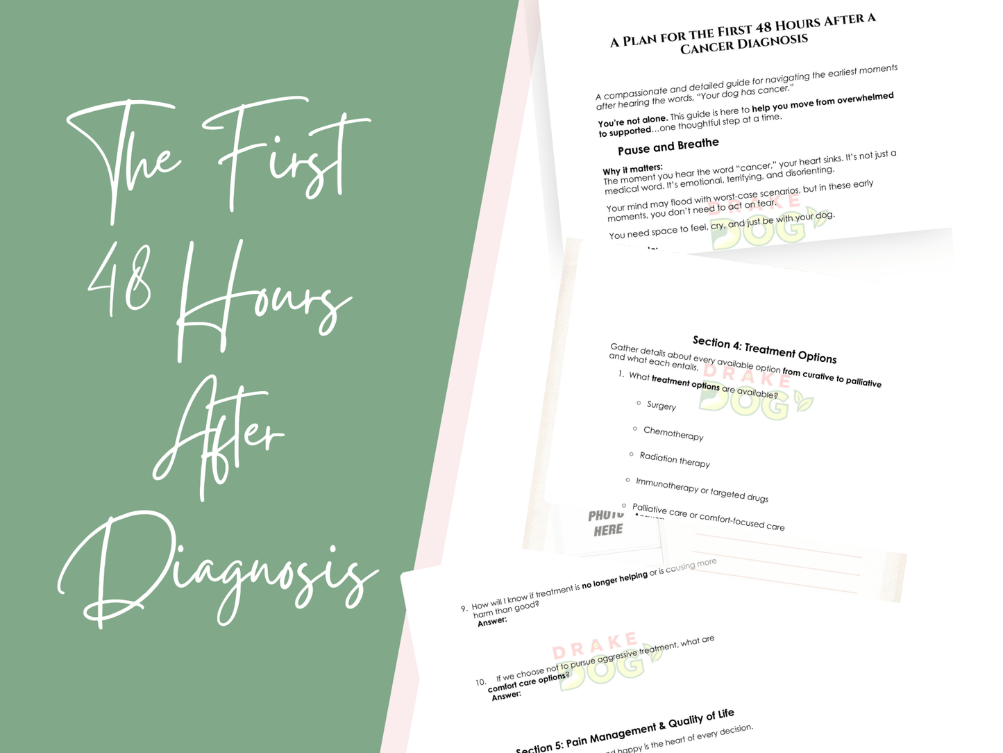 Dog Cancer Diagnosis Survival Kit: 6 Guides & Templates for the First 48 Hours - Drake Dog Cancer Foundation