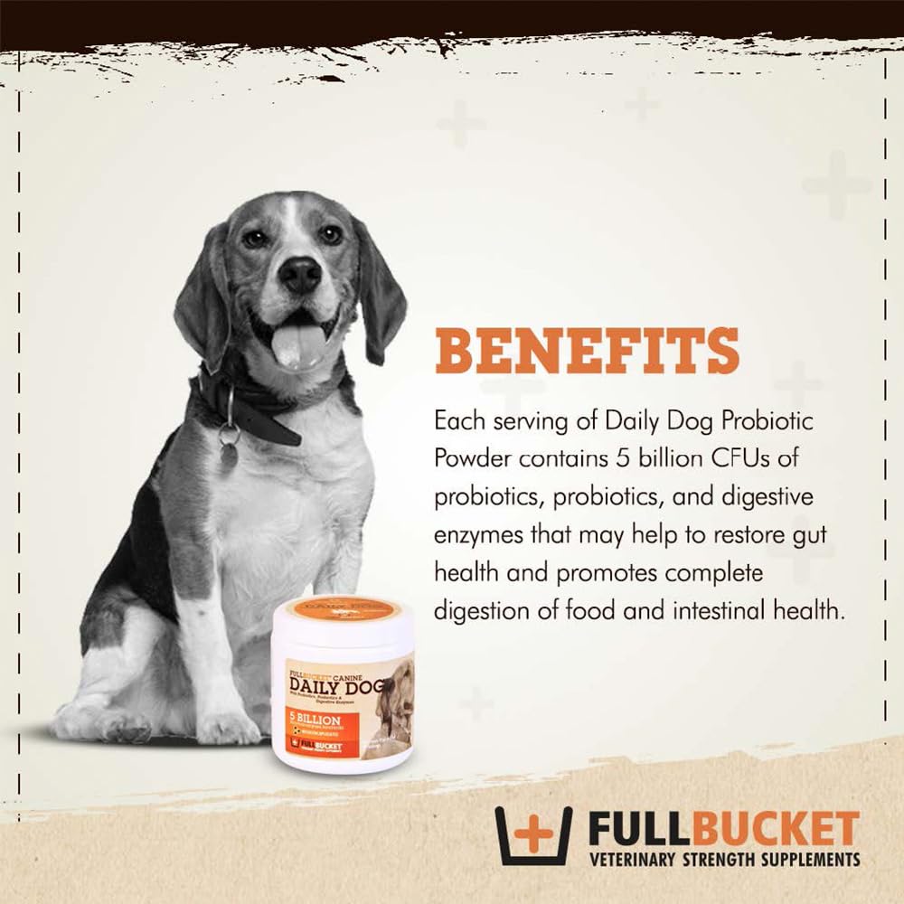 Daily Dog Probiotic for Gut Health - Drake Dog Cancer Foundation