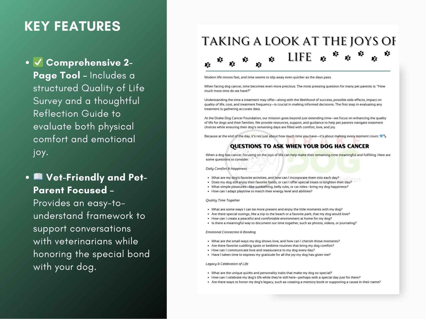 Dog Quality of Life Assessment | Printable Pet Health Tracker