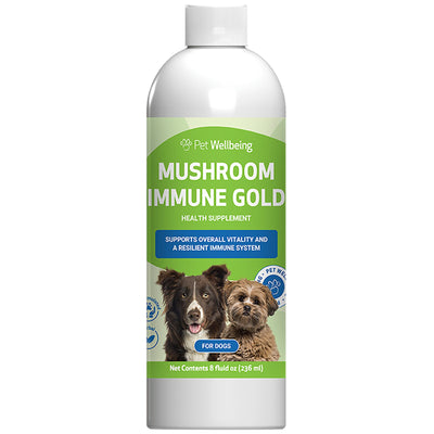 Mushroom Immune Gold for Dog Cancer - Drake Dog Cancer Foundation