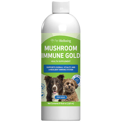 Mushroom Immune Gold for Dog Cancer