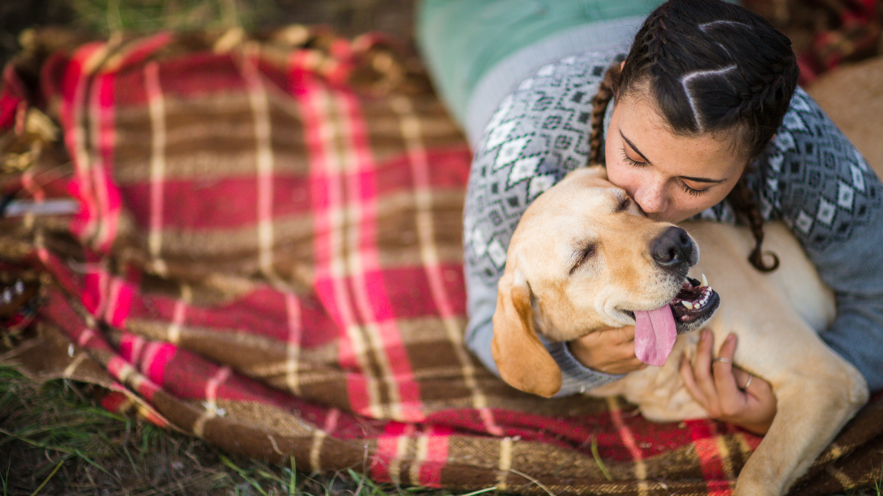 Types of Pet Loss.png__PID:254a1047-39c0-461a-be3a-22fb03e30d5b