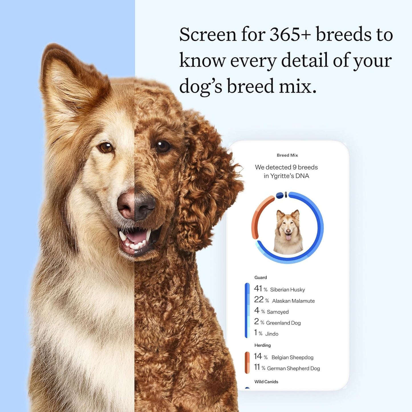 Wisdom Health Essential Dog DNA Kit