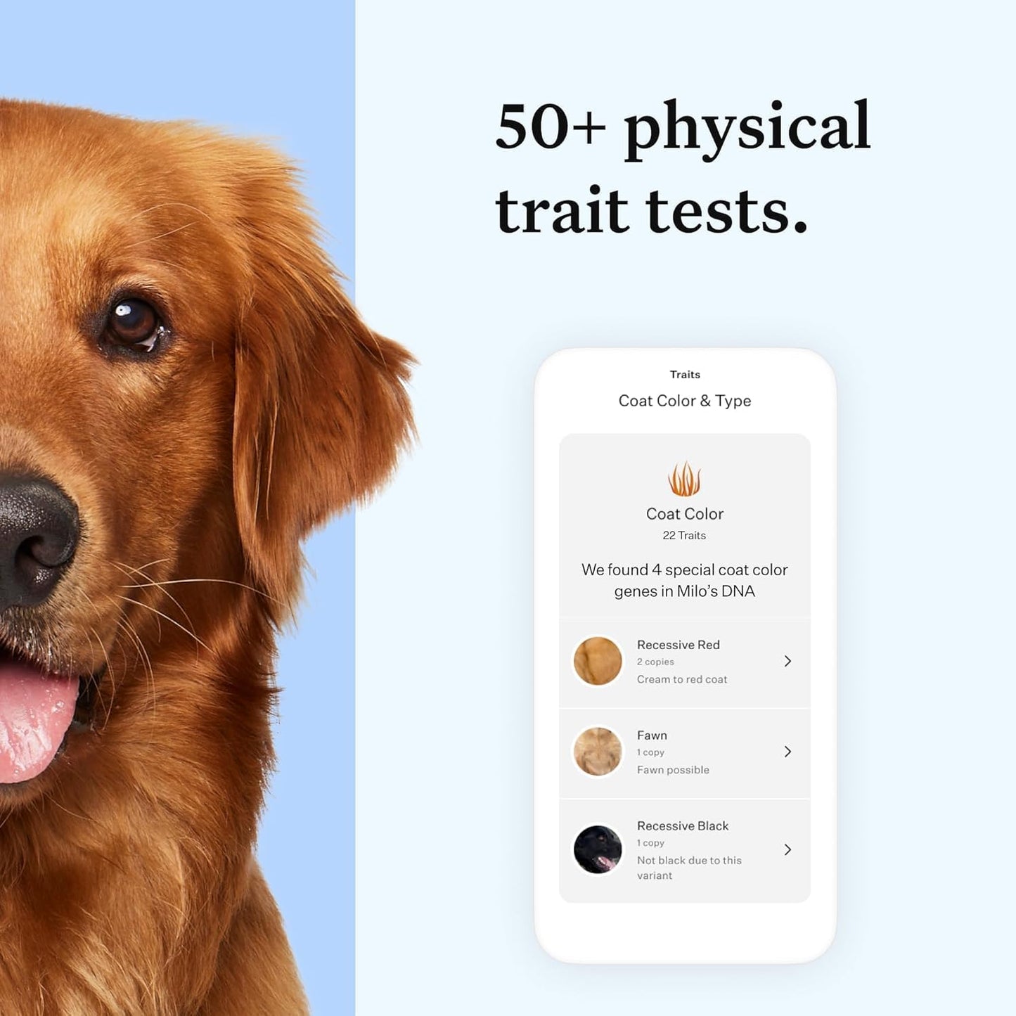 Wisdom Health Essential Dog DNA Kit