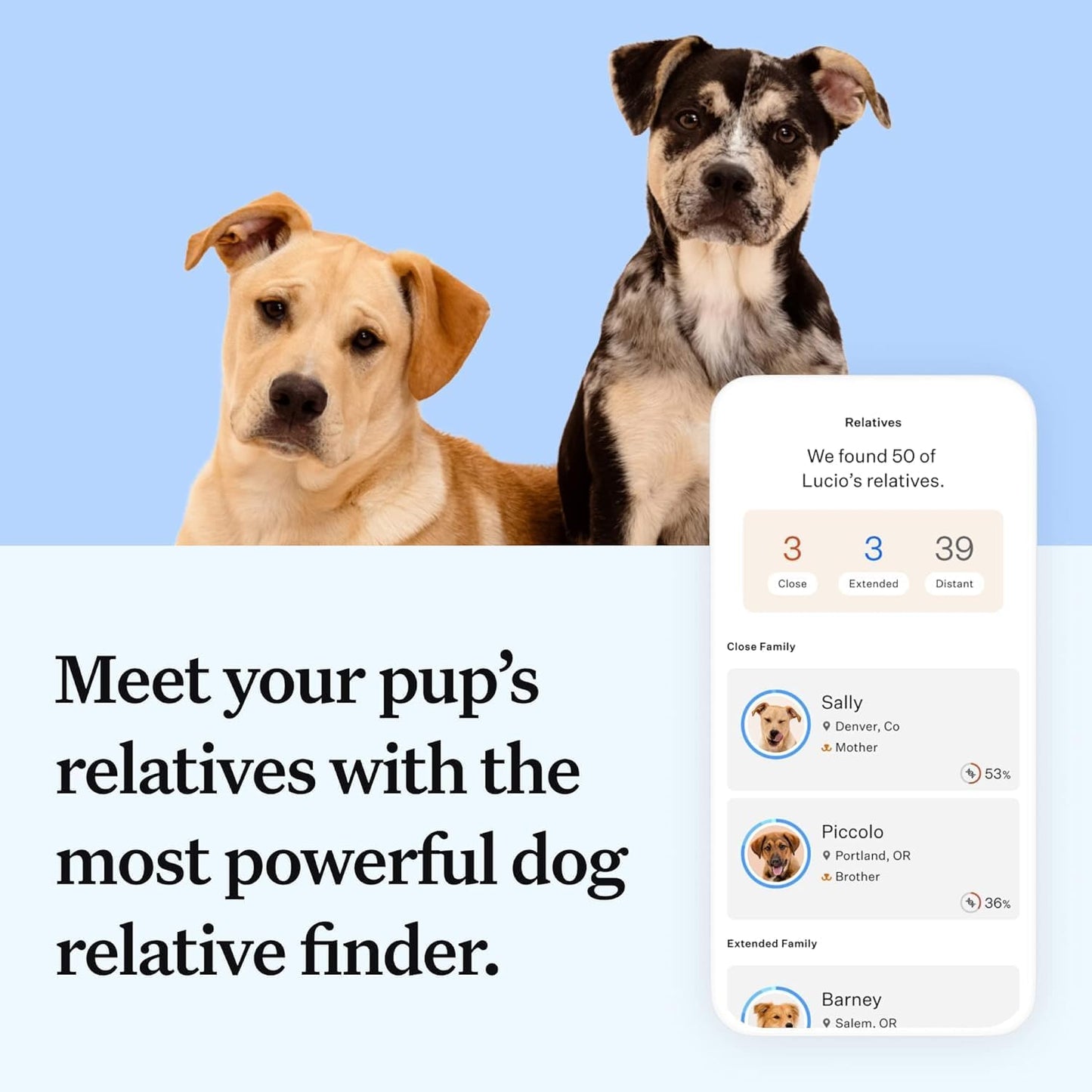 Wisdom Health Essential Dog DNA Kit