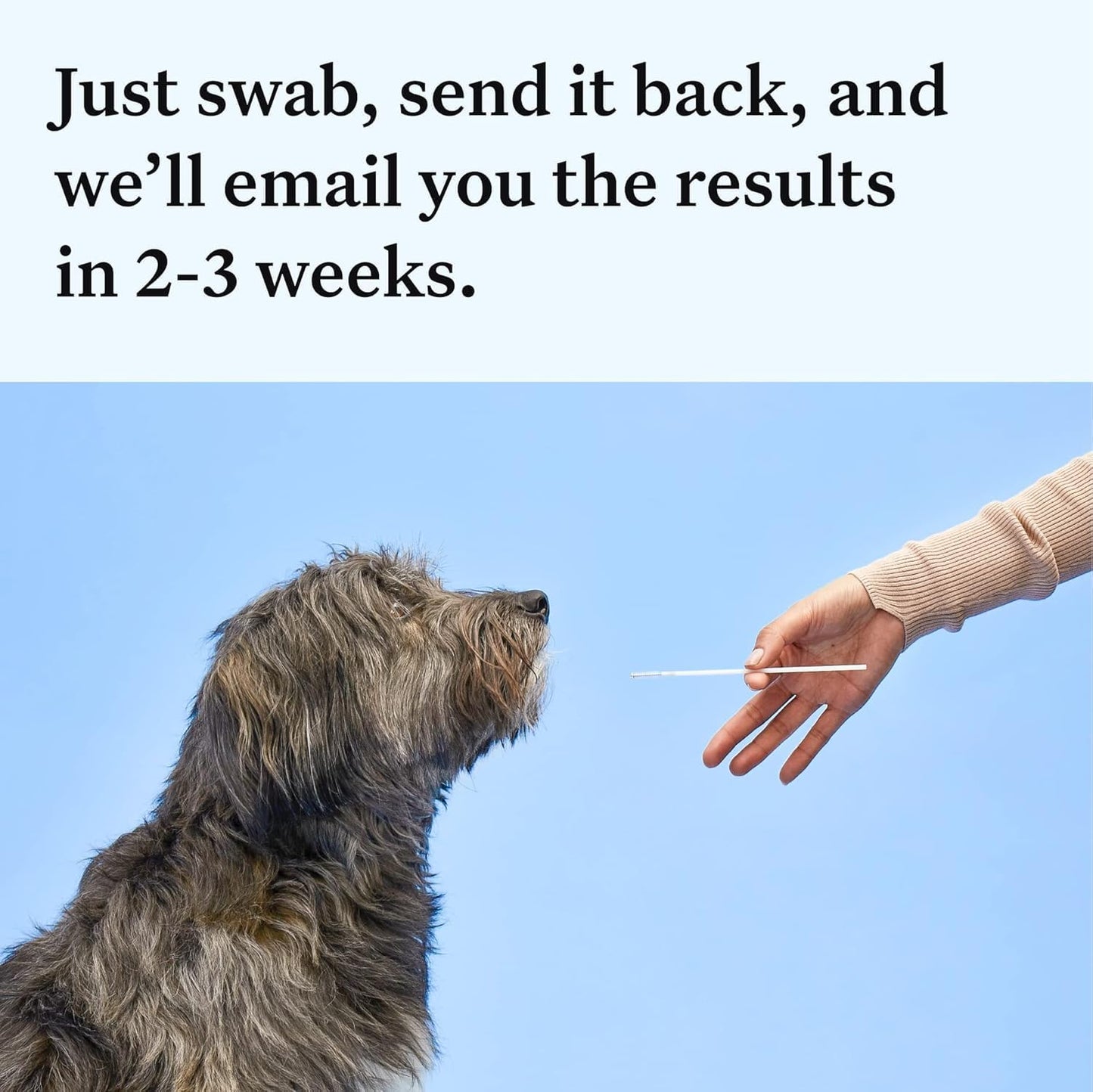 Wisdom Health Essential Dog DNA Kit
