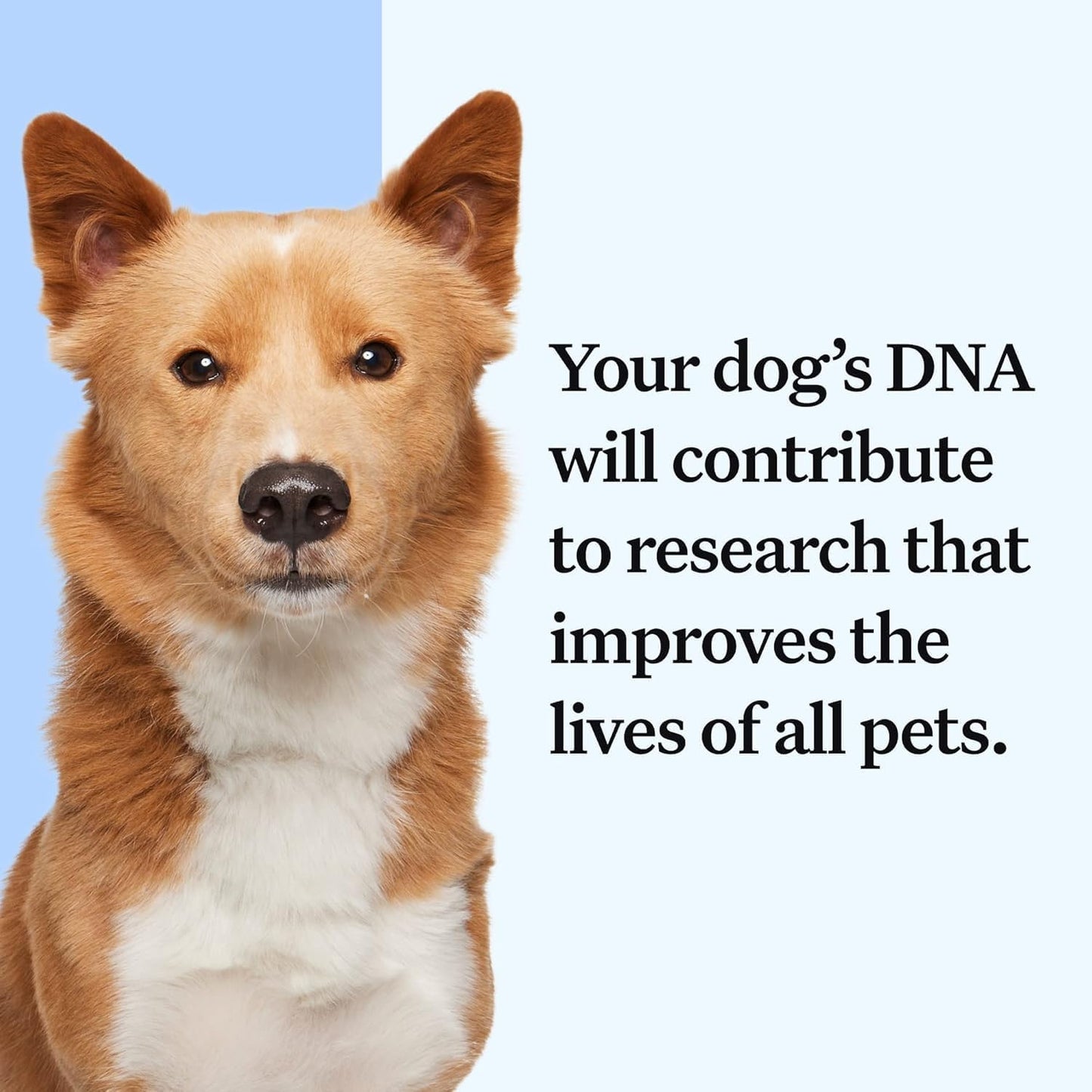 Wisdom Health Essential Dog DNA Kit