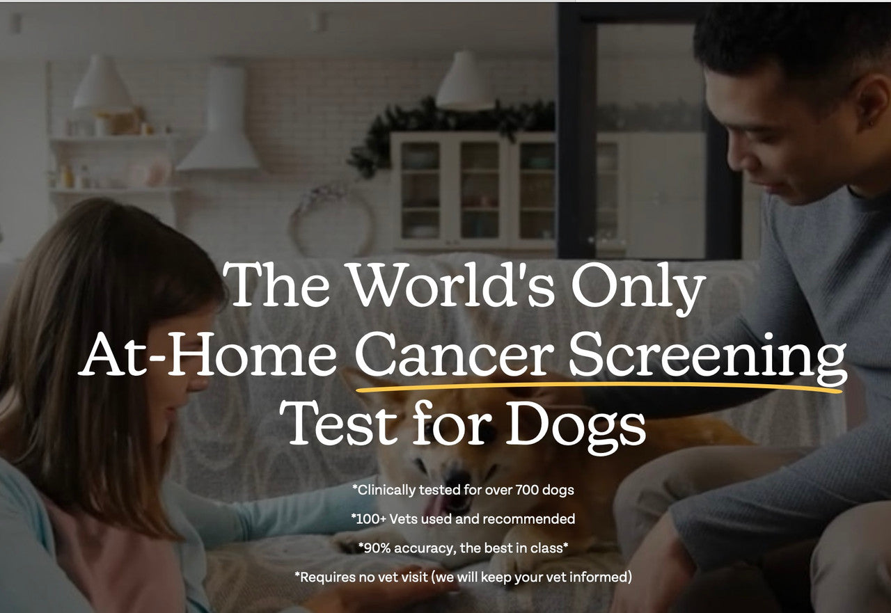 Oncotect At-Home Cancer Test