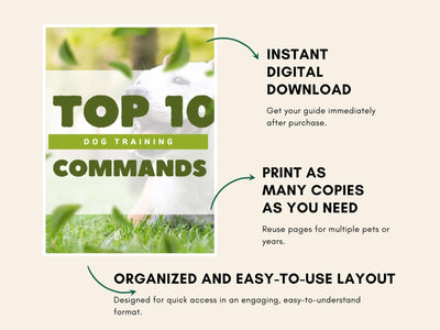 Comprehensive Step - by - Step Dog Training Guide: 10 Essential Commands PDF for Obedient Canines - Drake Dog Cancer Foundation