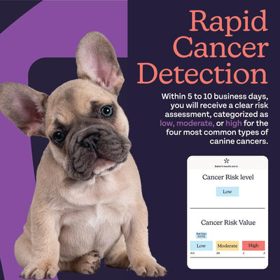 Oncotect At - Home Cancer Test - Drake Dog Cancer Foundation