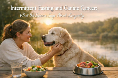 Intermittent Fasting and Canine Cancer - Drake Dog Cancer Foundation