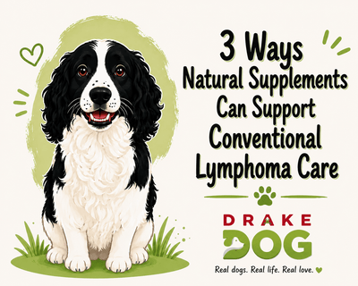 3 Ways Natural Supplements Can Support Conventional Lymphoma Care - Drake Dog Cancer Foundation