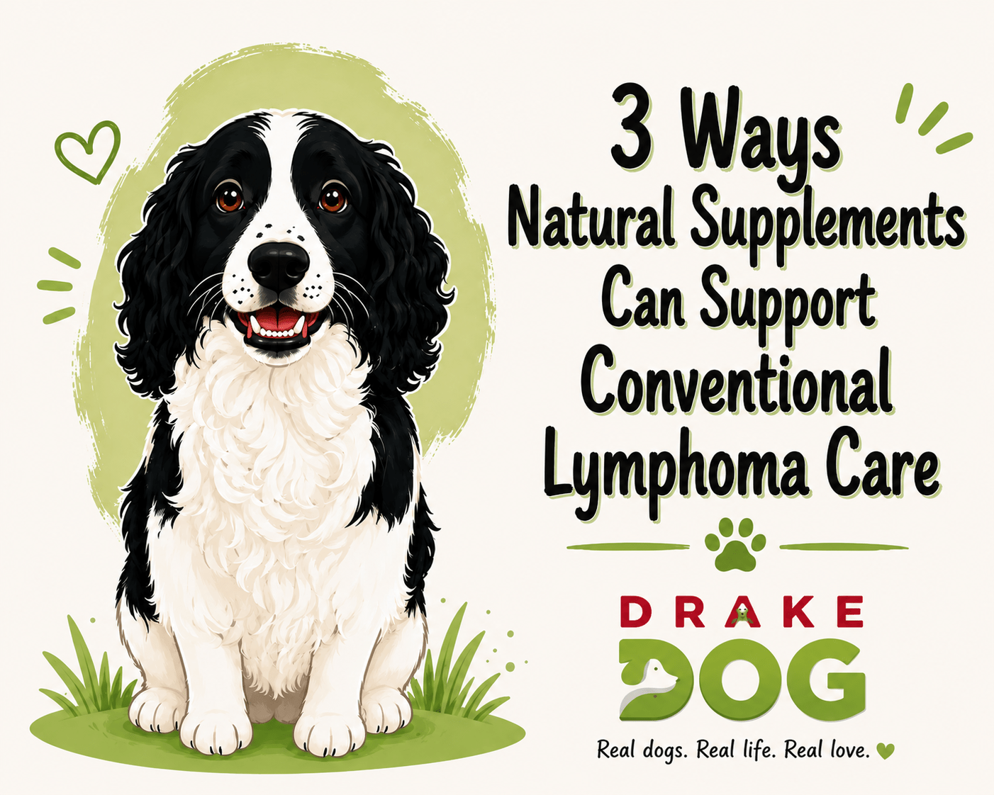 3 Ways Natural Supplements Can Support Conventional Lymphoma Care - Drake Dog Cancer Foundation