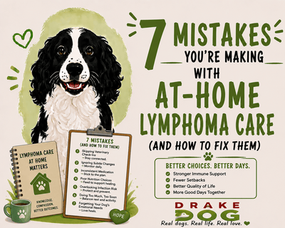 7 Mistakes You’re Making with At-Home Lymphoma Care (and How to Fix Them) - Drake Dog Cancer Foundation
