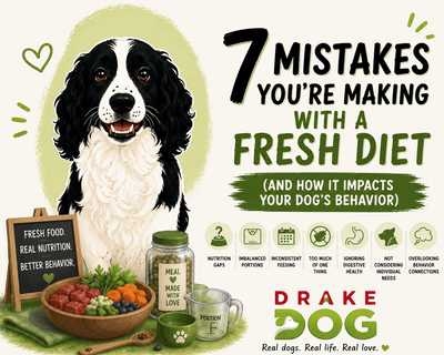 7 Mistakes You’re Making with a Fresh Diet (and How It Impacts Your Dog's Behavior) - Drake Dog Cancer Foundation