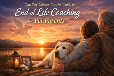 The Dog Cancer Coach’s Guide to End of Life Coaching for Pet Parents - Drake Dog Cancer Foundation