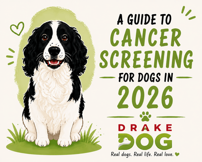 A Guide to Cancer Screening for Dogs in 2026 - Drake Dog Cancer Foundation