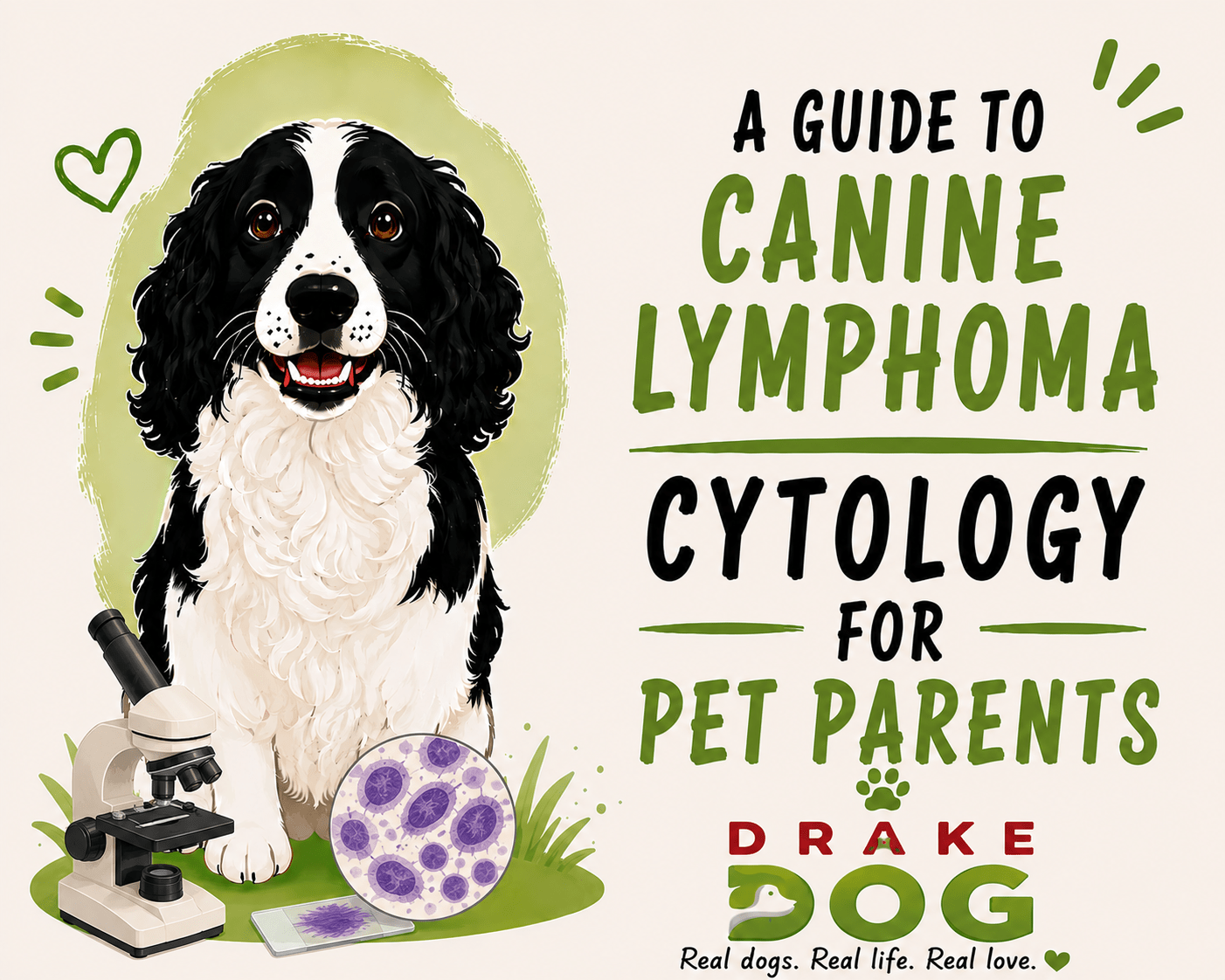 A Guide to Canine Lymphoma Cytology for Pet Parents - Drake Dog Cancer Foundation