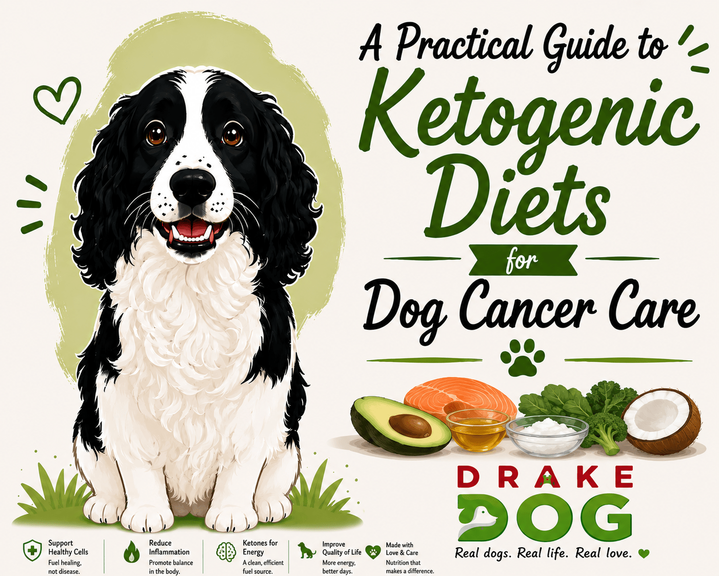 A Practical Guide to Ketogenic Diets for Dog Cancer Care - Drake Dog Cancer Foundation