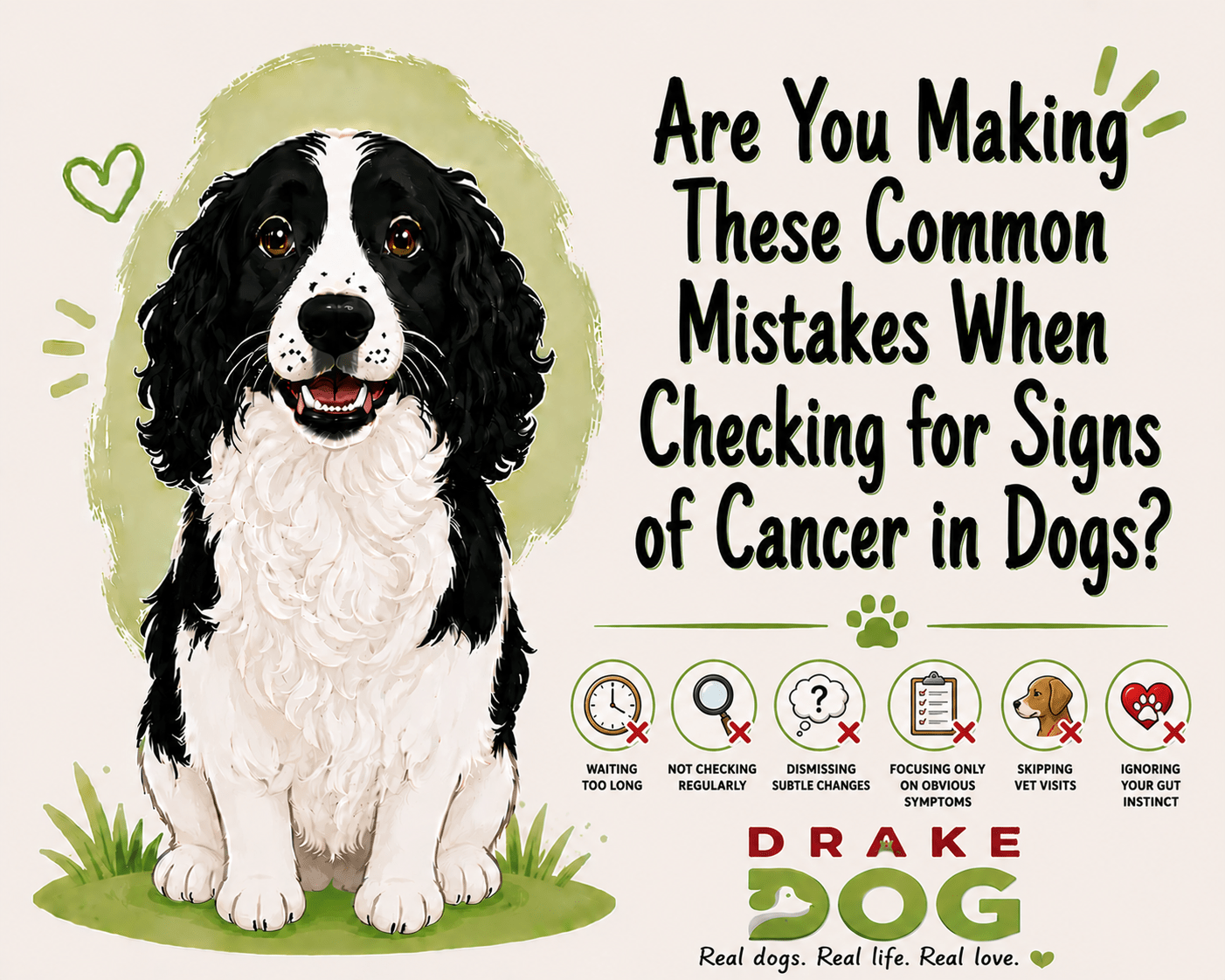 Are You Making These Common Mistakes When Checking for Signs of Cancer in Dogs? - Drake Dog Cancer Foundation