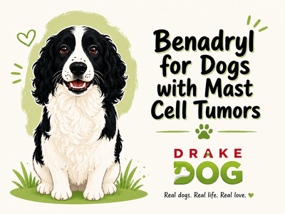 Benadryl for Dogs with Mast Cell Tumors - Drake Dog Cancer Foundation