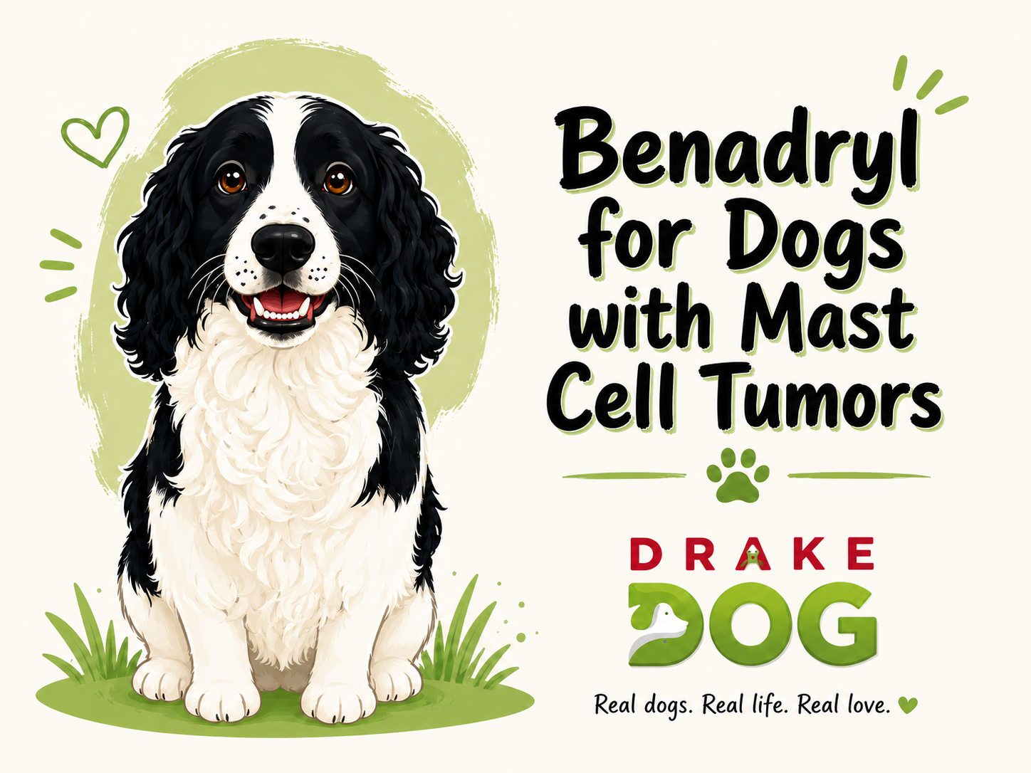 Benadryl for Dogs with Mast Cell Tumors