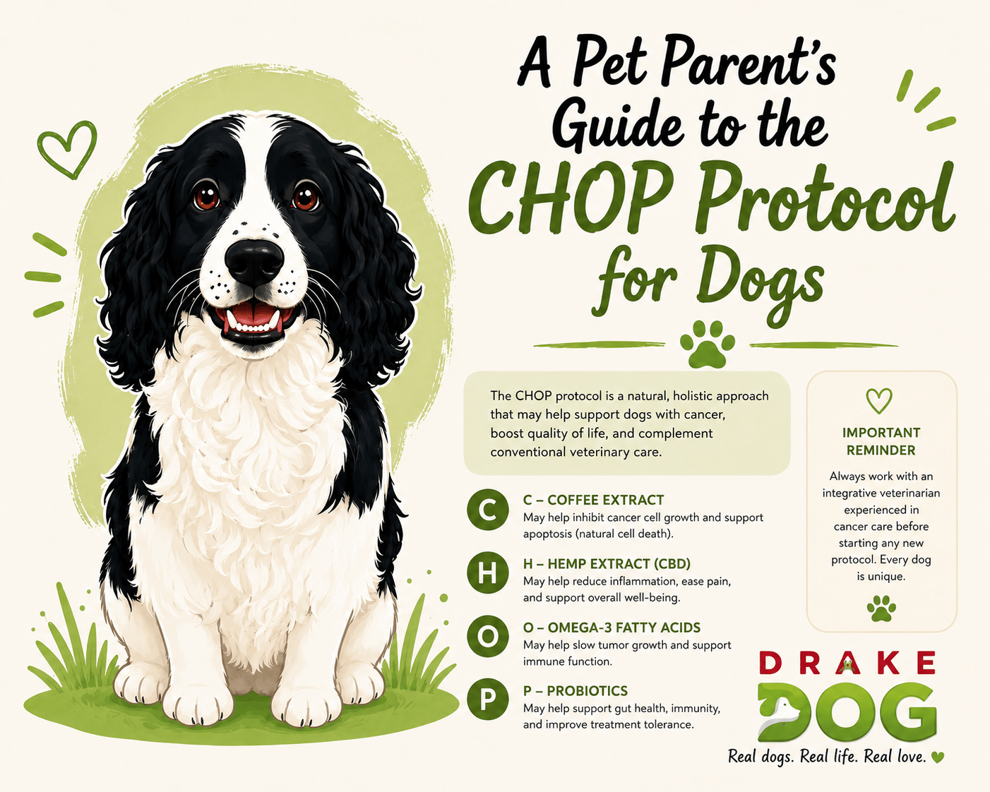 A Pet Parent's Guide to the CHOP Protocol for Dogs - Drake Dog Cancer Foundation