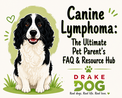 Canine Lymphoma: The Ultimate Pet Parent’s FAQ & Resource Hub
