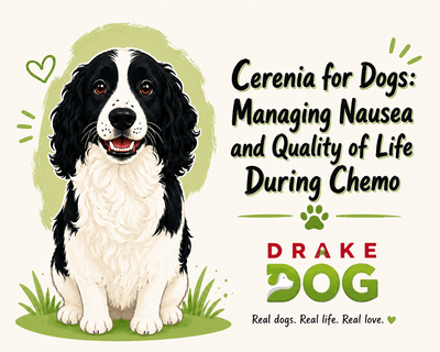 Cerenia for Dogs: Managing Nausea and Quality of Life During Chemo - Drake Dog Cancer Foundation