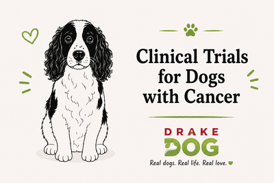 Clinical Trials for Dogs with Cancer - Drake Dog Cancer Foundation
