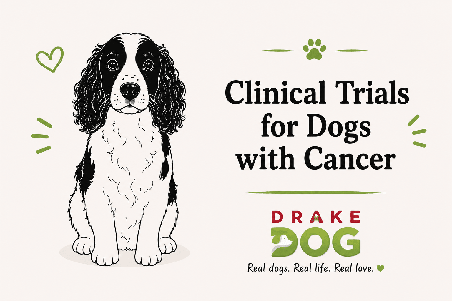 Clinical Trials for Dogs with Cancer - Drake Dog Cancer Foundation
