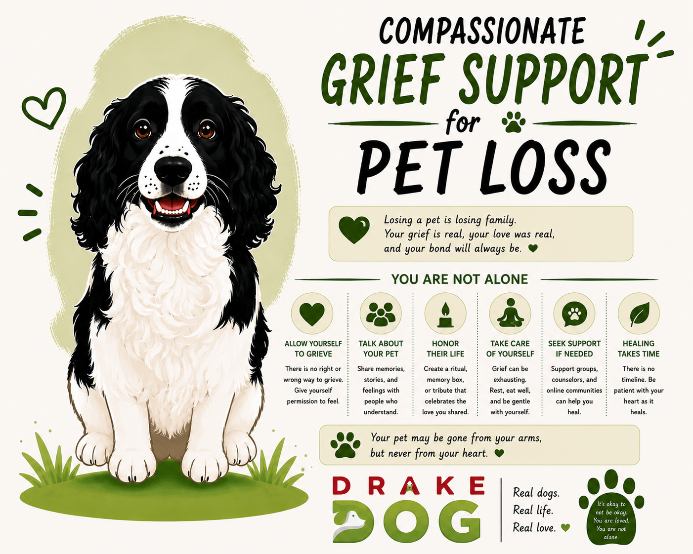 Compassionate Grief Support for Pet Loss - Drake Dog Cancer Foundation