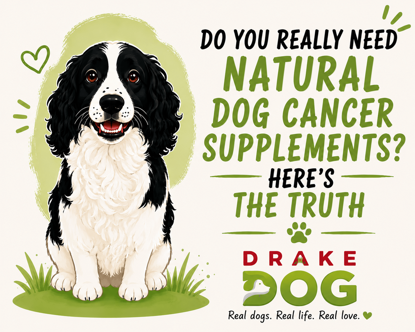 Do You Really Need Natural Dog Cancer Supplements? Here’s the Truth - Drake Dog Cancer Foundation