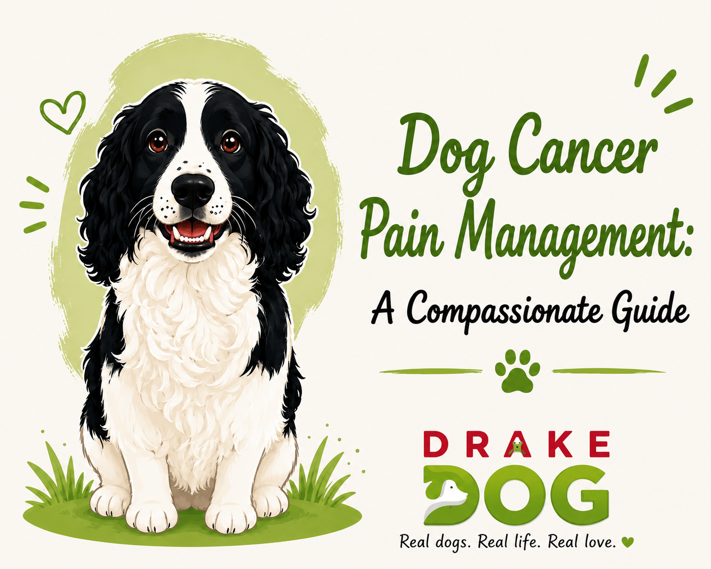 Dog Cancer Pain Management: A Compassionate Guide - Drake Dog Cancer Foundation