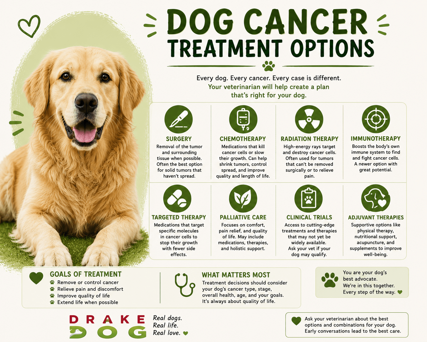 Dog Cancer Treatment Options - Drake Dog Cancer Foundation