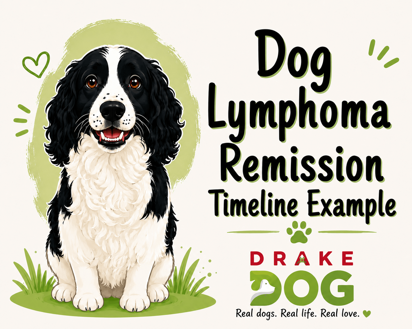 Dog Lymphoma Remission Timeline Example - Drake Dog Cancer Foundation