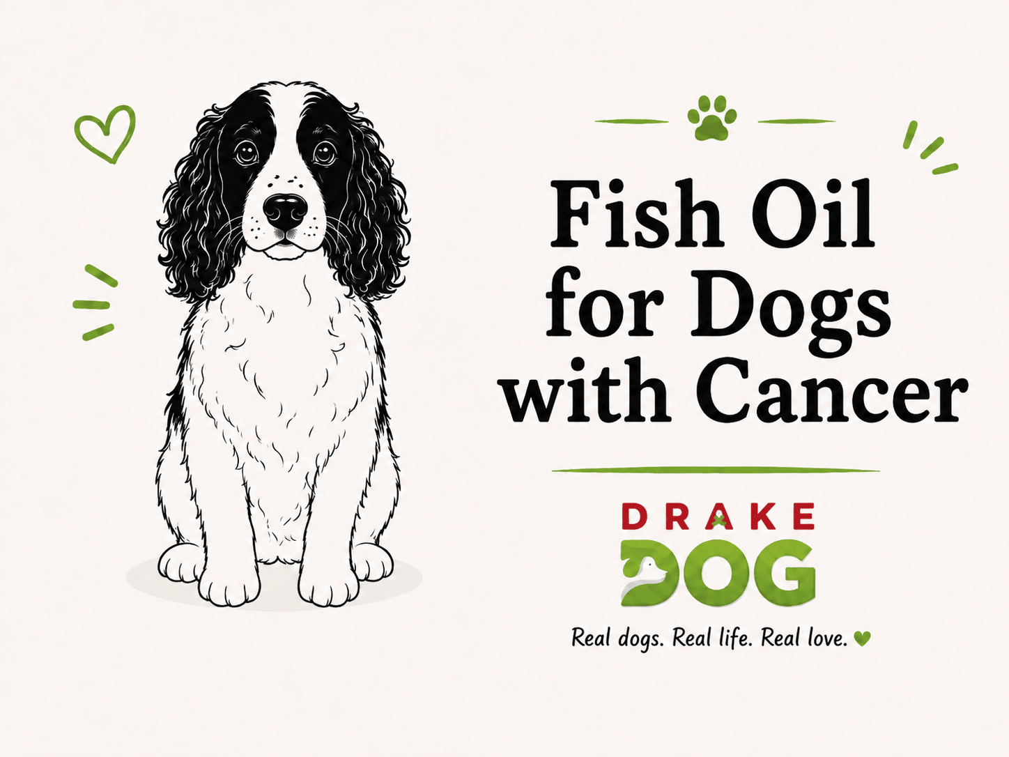 Fish Oil for Dogs with Cancer - Drake Dog Cancer Foundation
