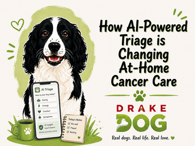 How AI-Powered Triage is Changing At-Home Cancer Care - Drake Dog Cancer Foundation