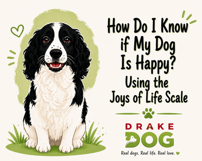 How Do I Know if My Dog Is Happy? Using the Joys of Life Scale - Drake Dog Cancer Foundation