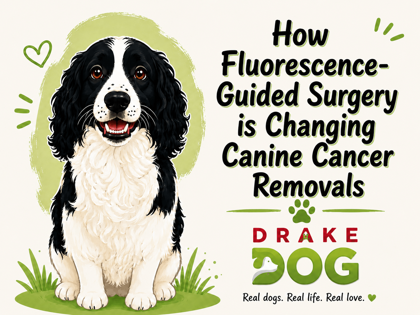 How Fluorescence-Guided Surgery is Changing Canine Cancer Removals - Drake Dog Cancer Foundation