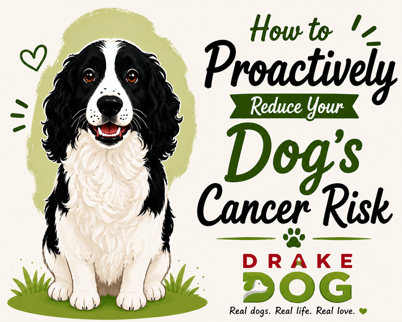 How to Proactively Reduce Your Dog's Cancer Risk - Drake Dog Cancer Foundation