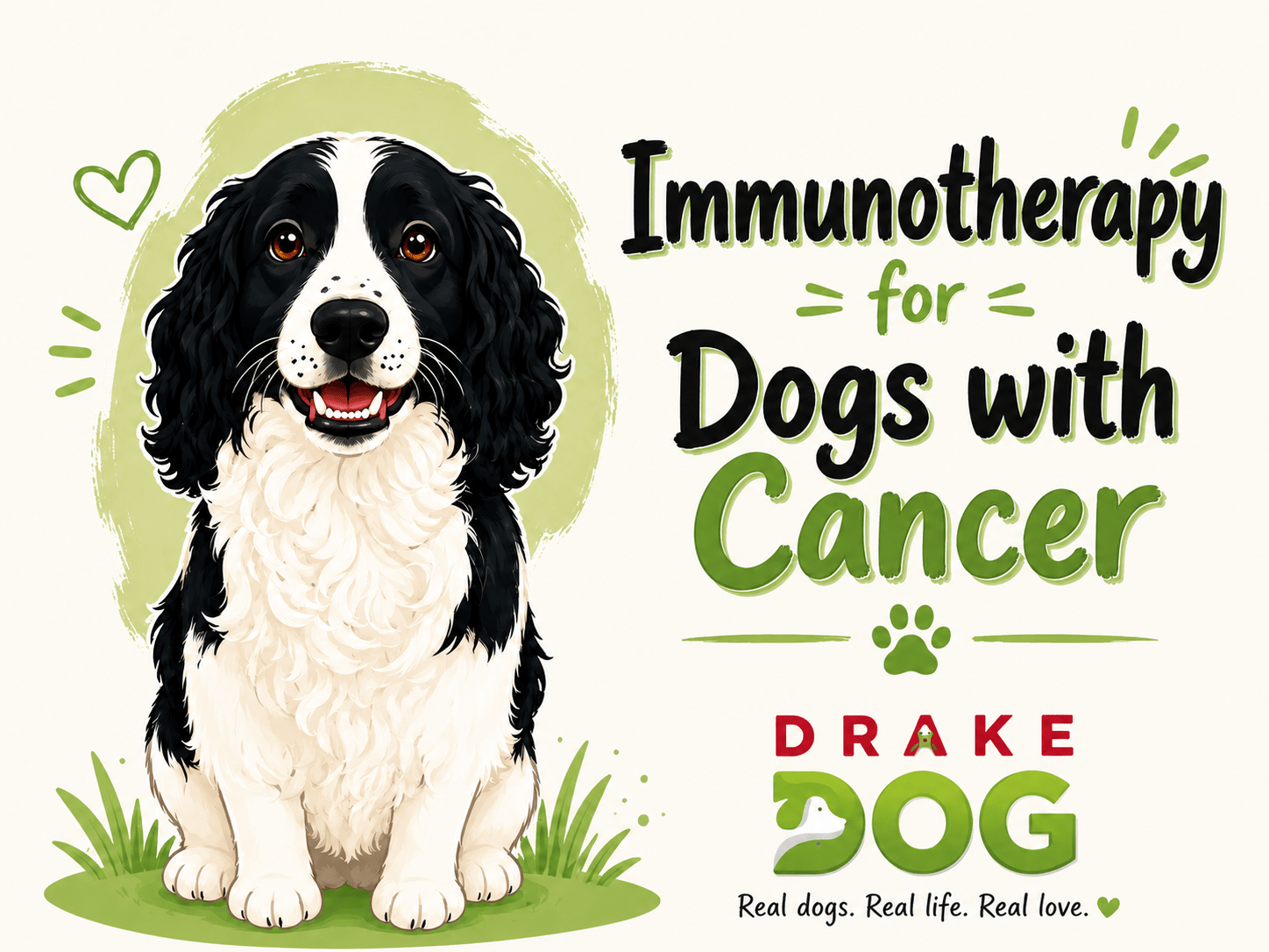 Immunotherapy for Dogs with Cancer - Drake Dog Cancer Foundation