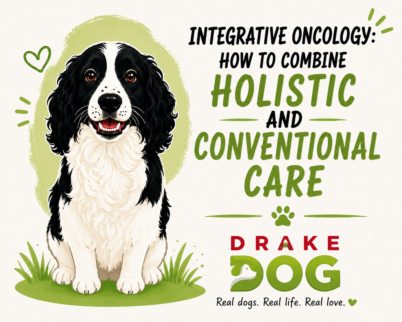 Integrative Oncology: How to Combine Holistic and Conventional Care - Drake Dog Cancer Foundation
